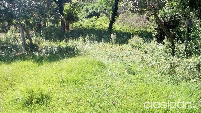 HERMOSO LOTE EN LUQUE ZONA RUTA A SAN BER 5 MINUTOS DE LUISITO — foto 3