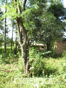 Vendo Terreno — foto 2