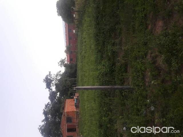 Vendo terreno en itapuami-luque — foto 2