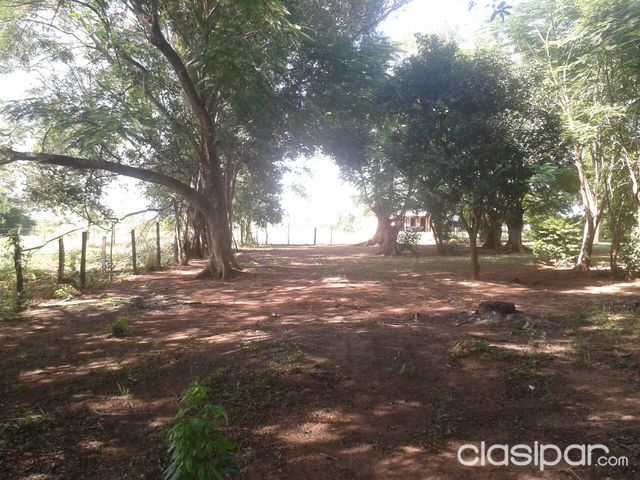 Vendo una casa con terreno de 5,5 hectareas — foto 3