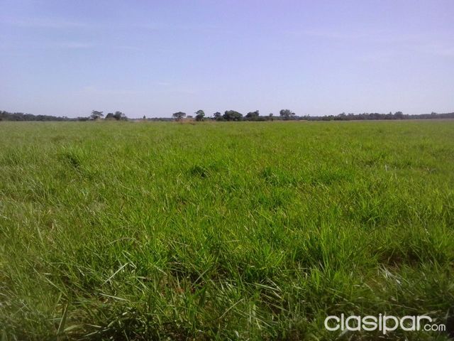 470 has agroganaderas en Yuty — foto 2