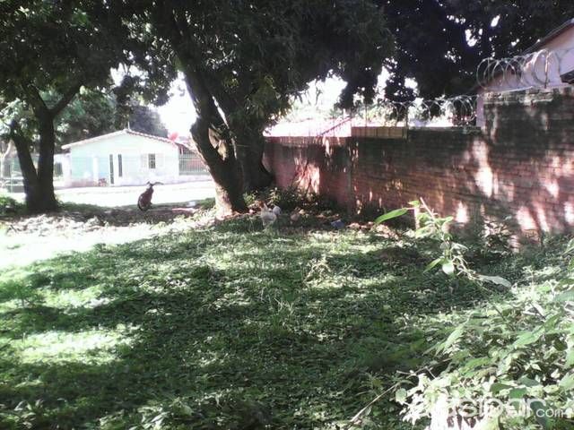 Hermoso terreno — foto 2