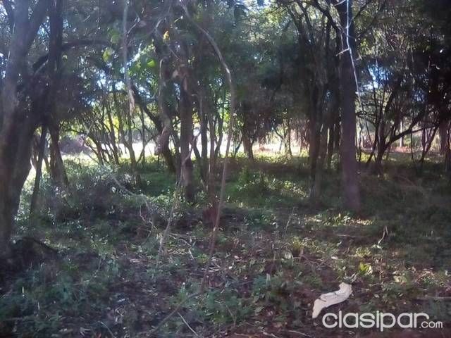 Nuevos Terrenos en Yaguaron! Km 50 — foto 3