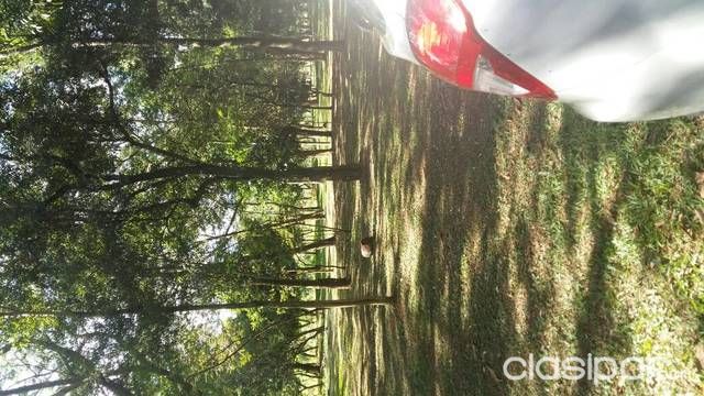 Vendo 6h.con casita piribebuy — foto 3