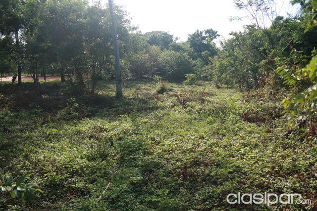 TERRENO EN LUQUE CAMINO A SANBER — foto 3