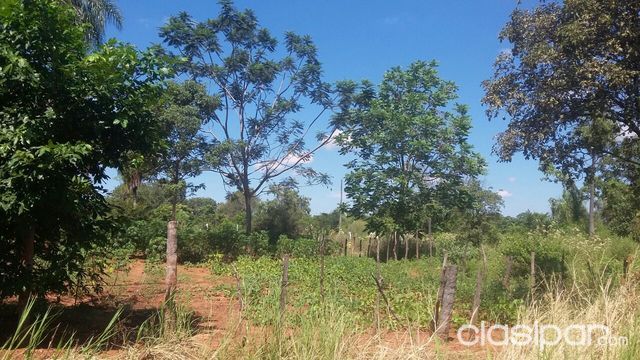 vendo terreno — foto 3