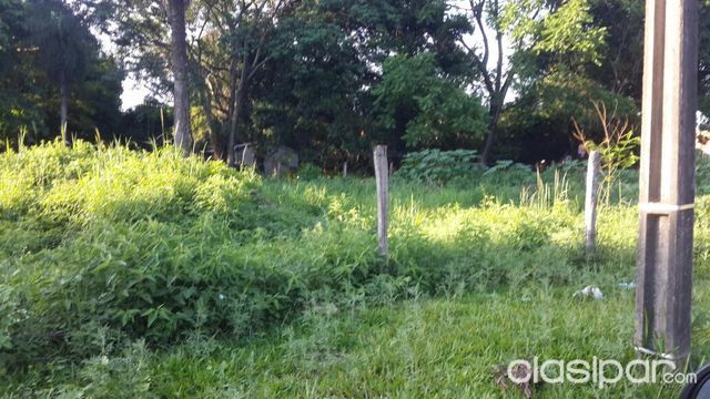 Vendo 2 terrenos en lambare de 370m2 cada uno a media cuadra de paseo de golf — foto 2