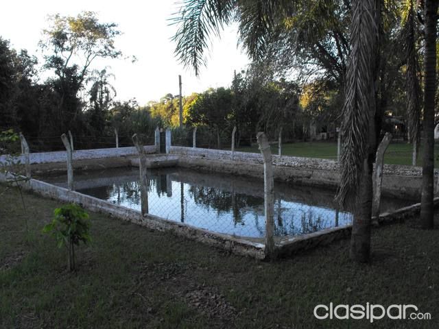 CASA QUINTA, SOLO CON EL EUCALIPTO YA SE RECUPERA LA INVERSION! — foto 2