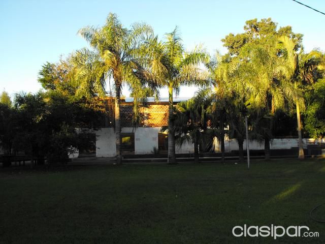 CASA QUINTA, SOLO CON EL EUCALIPTO YA SE RECUPERA LA INVERSION! — foto 3
