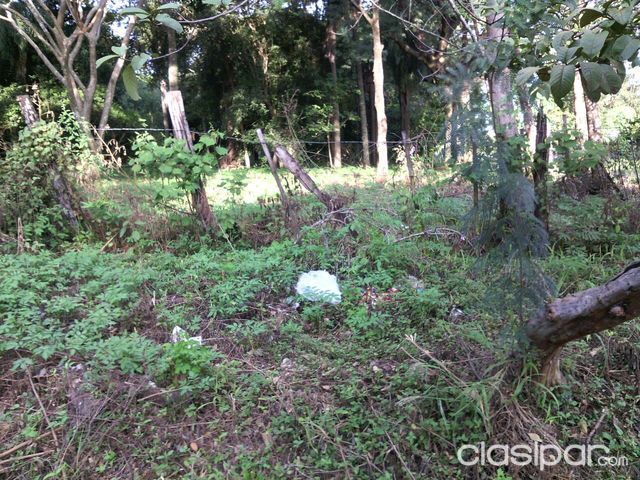 VENDO TERRENO EN ESQUINA, ZONA SUR FERNANDO DE LA MORA — foto 3