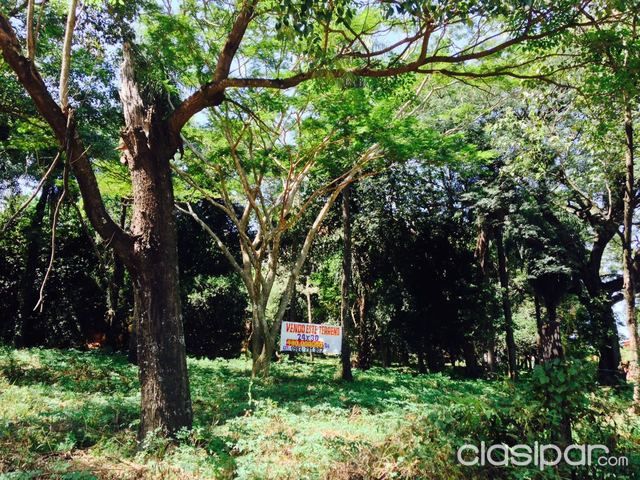 VENDO ESPECTACULAR TERRENO EN ESQUINA - FERNANDO DE LA MORA ZONA SUR. — foto 3