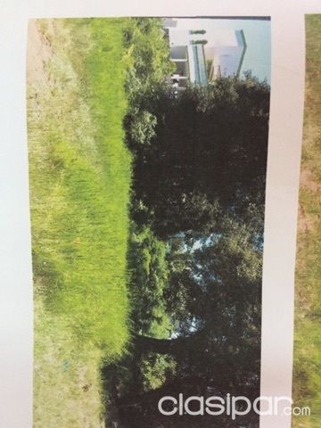 Terreno en Encarnación barrio Buena Vista — foto 2