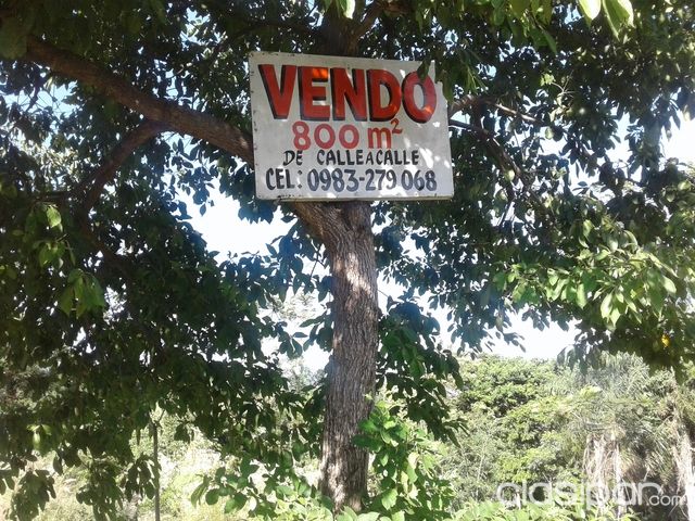 VENDO HERMOSO TERRENO EN SAN BERNARDINO CON VISTA AL LAGO — foto 3