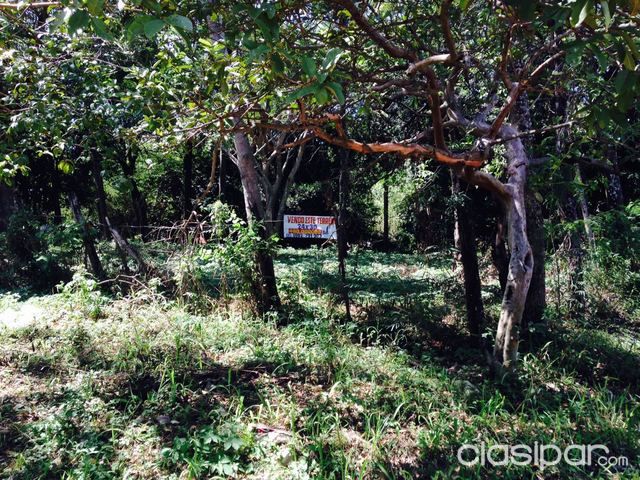 Terreno 24x30 m2 en esquina Fernando de la Mora zona Sur — foto 3