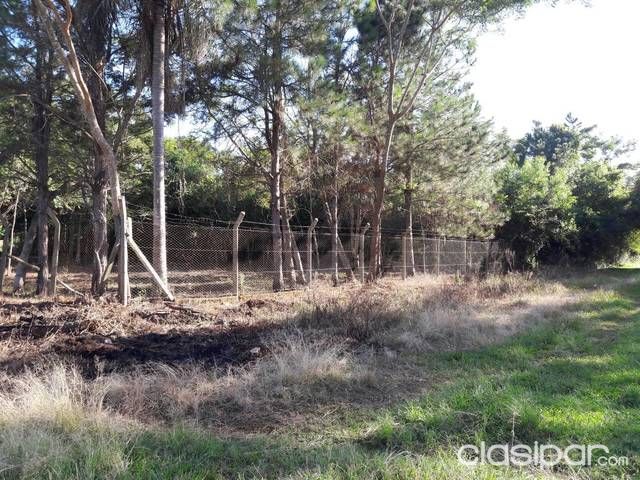 Vendo terreno en Aregua - Patiño — foto 3