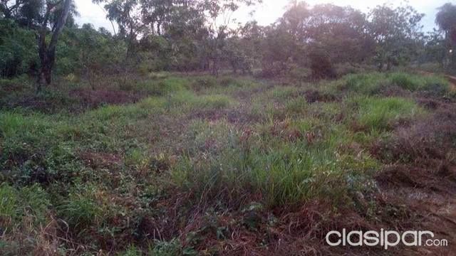 DUEÑO REMATA 25 LOTES EN LUQUE ZONA PODER JUDICIAL — foto 3