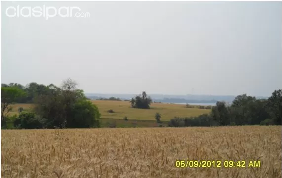 Excelente propiedad sobre el rio Tacuary y Paraná frente a costanera de Carmen del Paraná — foto 2
