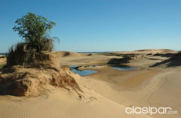 5.000 Mts2 en San Cosme y Damián — foto 2
