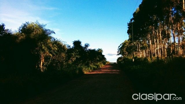 hotel-Alojamiento-Semana santa — foto 3