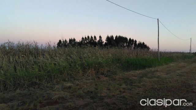 2 Terrenos en Esquina Km 14 Minga Guazú — foto 2