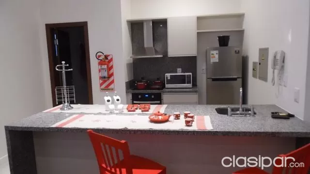 DEPTO TIPO LOFT AMOBLADO Y EQUIPADO EN (PLANTA BAJA) — foto 3
