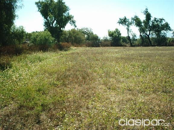 Vendo Terrenos en San Bernardino. — foto 3
