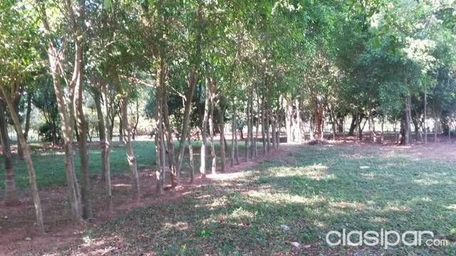 Oferto 6 hermosos terrenos en caacupe — foto 2