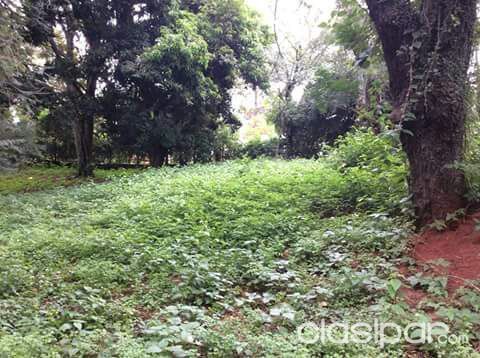 VENDO PROPIEDAD DE 9.260 M2 SOBRE RUTA 1 CAPIATA — foto 2