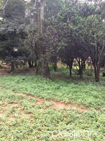 VENDO PROPIEDAD DE 9.260 M2 SOBRE RUTA 1 CAPIATA — foto 3