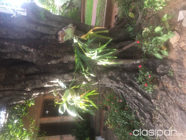 Casa en Asunción — foto 2