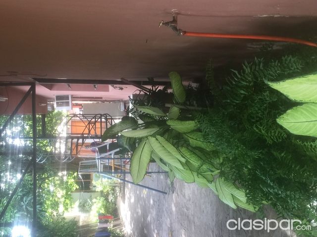 Casa en Asunción — foto 3