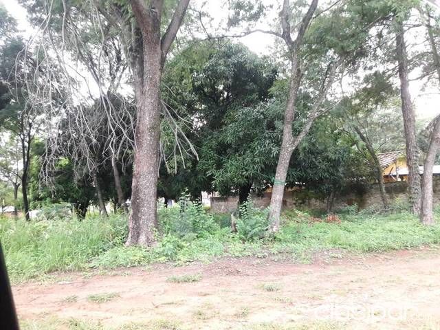LOTES EN LUQUE PALMA LOMA 12x30 — foto 2