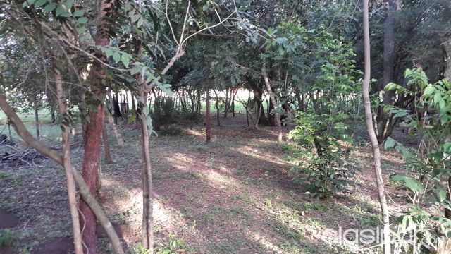 Terreno con arroyo sobre ruta Nueva Colombia - Loma Grande — foto 2