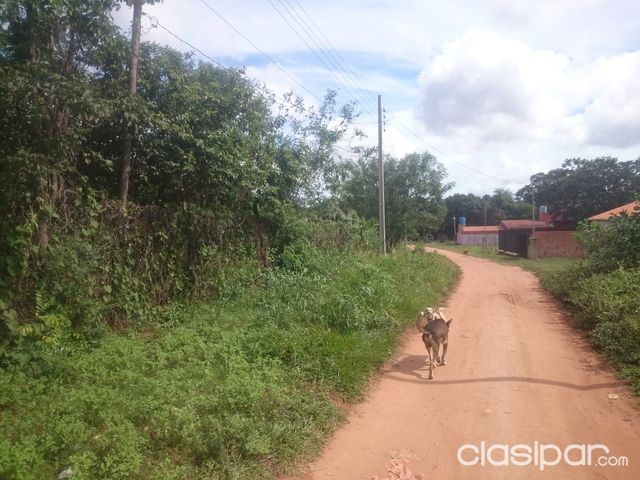 Terreno en lautelty Luque — foto 3