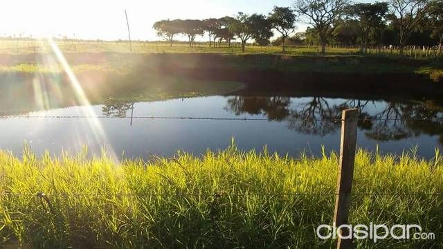 Vendo 117 Hectareas En San Patricio Misiones — foto 2