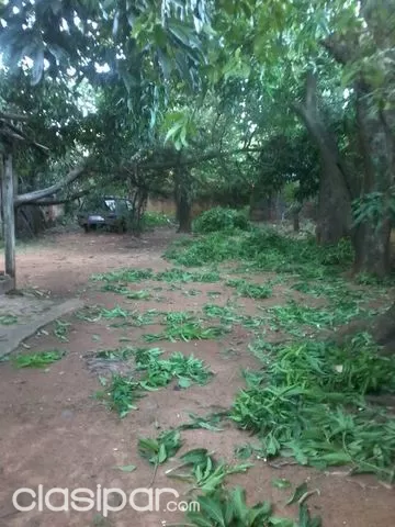 ==== VENDO PROPIEDAD BARRIO HERRERA ==== — foto 2