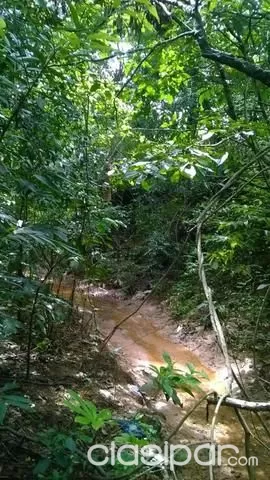 Vendo terreno sobre Ruta 2 en Caacupé — foto 2