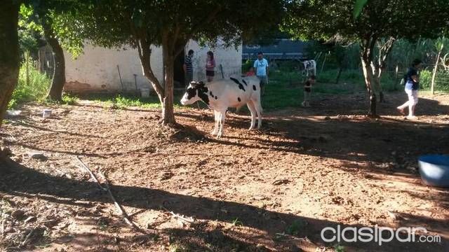 Vendo Terreno en Capiata Ruta 2 — foto 3