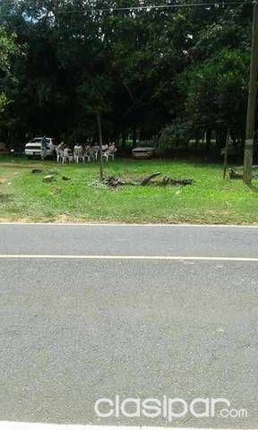 Ofertas Terreno en Nueva Colombia a 500 metros de la ciudad — foto 2