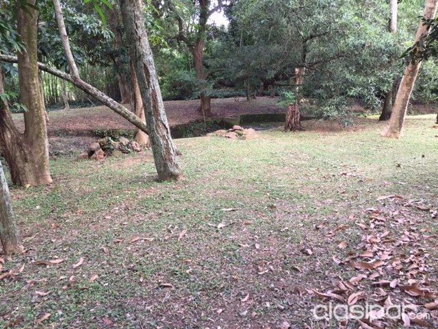 Alquilo Casa-Quinta (Estanzuela) — foto 3