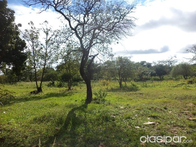 VENDO TERRENO DE 25.000 M2 ZONA MORA CUE LUQUE — foto 2