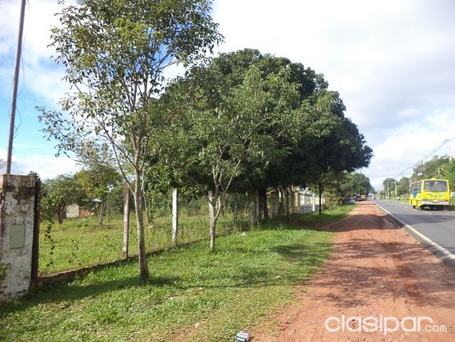 VENDO TERRENO DE 25.000 M2 ZONA MORA CUE LUQUE — foto 3
