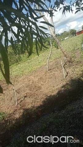 Vendo terrenos tratar con la dueña... — foto 2