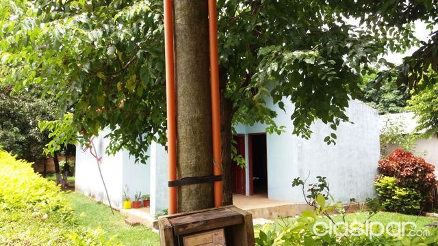 VENDO CASA EN EL CENTRO DE CAAZAPA! — foto 3