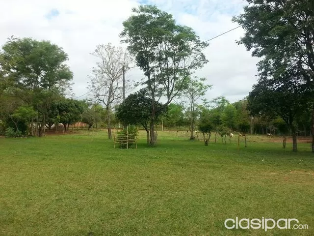 Capital Ofrece Quinta Lapachal — foto 3