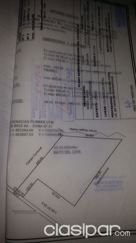 Vendo campo hermoso en concepción — foto 2