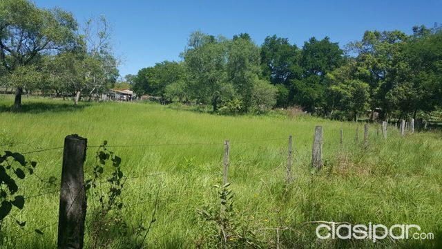 Vendo campo hermoso en concepción — foto 3