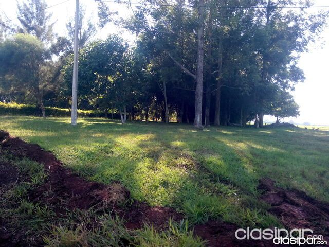 VENDO 25 HECTAREAS EN KM.18 ACARAY MINGA GUAZU 250 X 1000 TITULADO PRECIO DE OFERTA ESPECIAL PARA INDUSTRIA MECANIZADO — foto 3