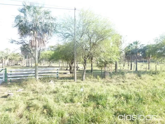 JOSE FALCON (CHACO): EXCELENTE PROPIEDAD EN VENTA - 10 HAS - FRACCIONABLE - 180.000.000 GSHA — foto 3