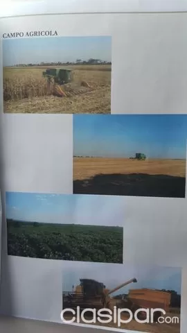 SANTA ROSA DE LIMA SAN PEDRO: 3.030 HAS IDEALES P GANADERIA EN VENTA - 3.000 USDHA — foto 2